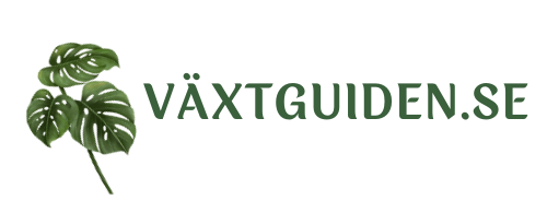 Växtguiden.se Logotyp. Grön text på transparent bakgrund.